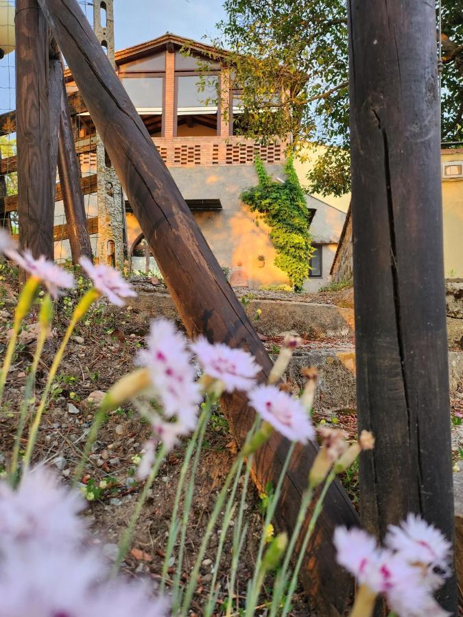 Bed and Breakfast Il Giuggiolo - La Collina Della Quiete Чертальдо Екстер'єр фото