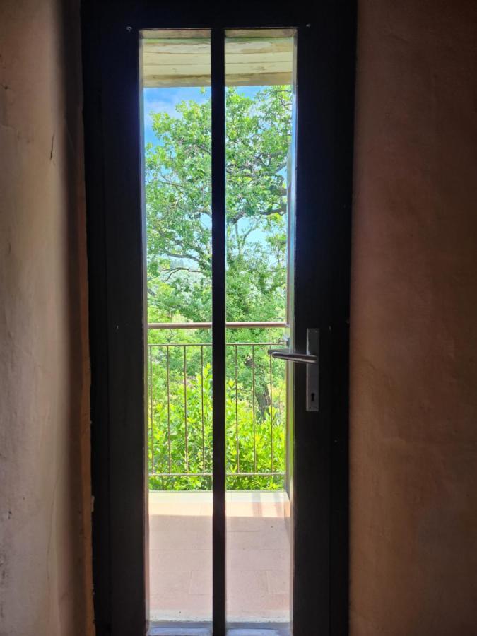 Bed and Breakfast Il Giuggiolo - La Collina Della Quiete Чертальдо Екстер'єр фото
